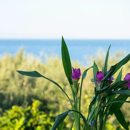 Sosos 2 Bedroom House With Sea View Apartment Planos (Zakynthos)